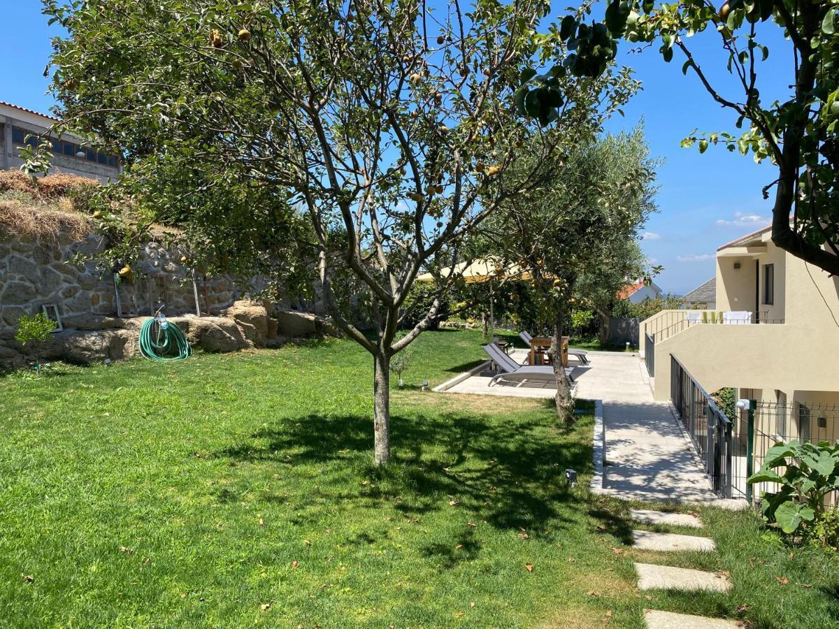 Casa Da Zefinha - Villa, Em Cinfaes, No Douro Eksteriør bilde